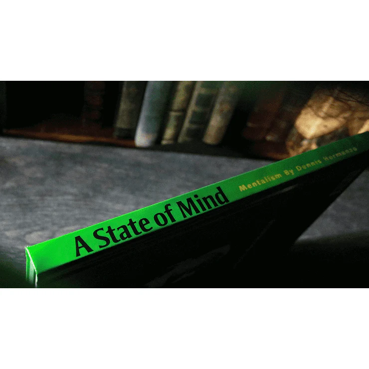 A State of Mind by Dennis Hermanzo - Book - Image 2