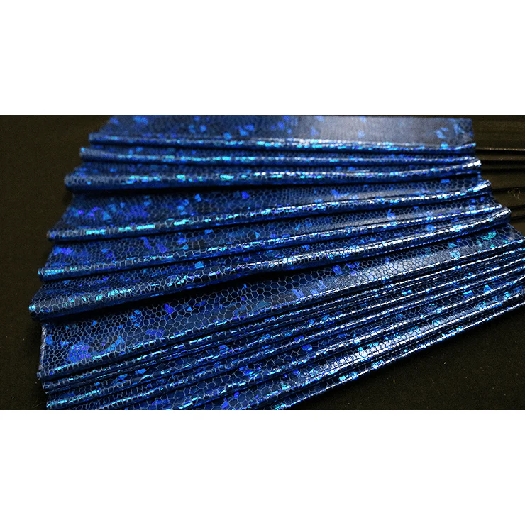 Appearing SnowStorming Fan V2 (Blue Hologram) by Victor Voitko (Gimmick and Online Instructions) - Trick - Image 2