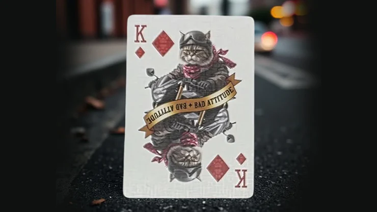 Biker Cats Playing Cards by Collectable Playing Cards - Image 6