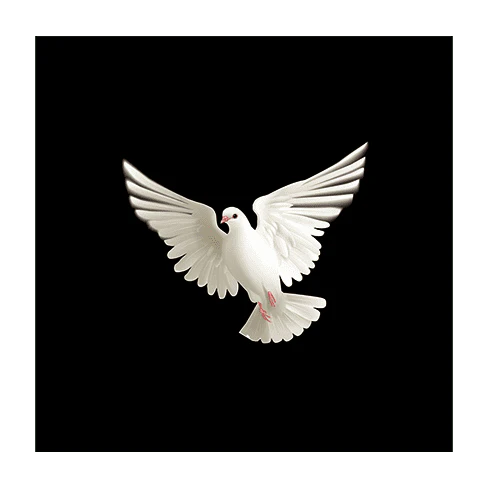BLUFFF (Appearing Dove) by Juan Pablo Magic - Image 3