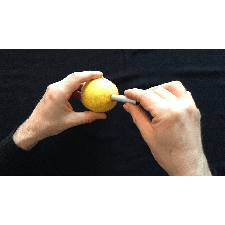 CITRUS: The Next Generation (C2 - Small) by Nourdine - Trick - Image 3