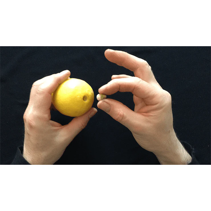 CITRUS: The Next Generation (C2 - Small) by Nourdine - Trick - Image 4