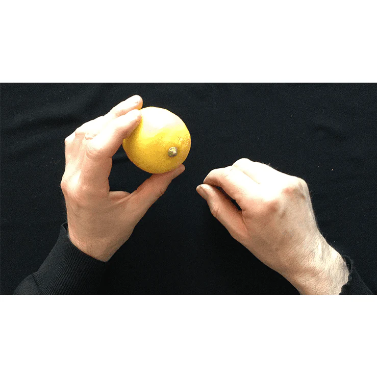 CITRUS: The Next Generation (C2 - Small) by Nourdine - Trick - Image 5