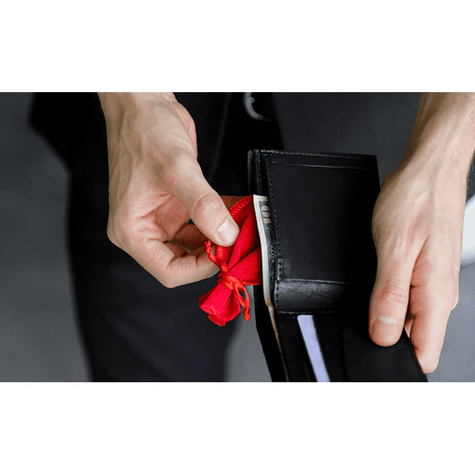 Coin to Wallet (Gimmicks and Online Instructions) by Rodrigo Romano and Mysteries - Trick - Image 3