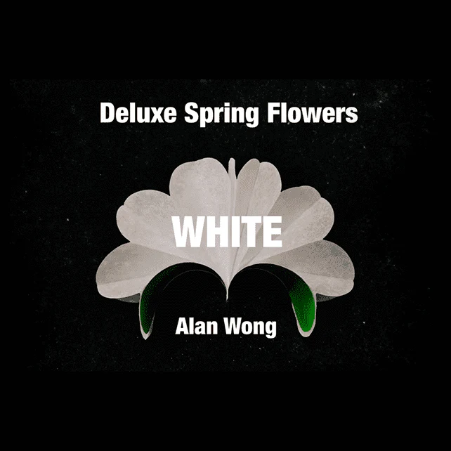 Deluxe Spring Flowers WHITE by Alan Wong - Trick