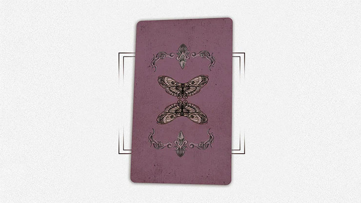 House By The Window (Mini Edition) Tarot Deck by TCC - Image 3