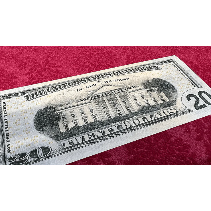 Impossible Tear Bank Notes USD (Gimmicks and Online Instructions) by MagicWorld - Trick - Image 2