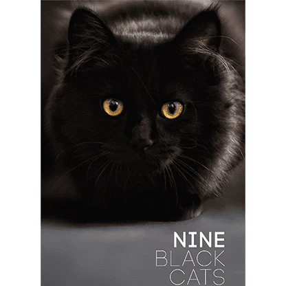 Nine Black Cats by Neema Atri eBook DOWNLOAD