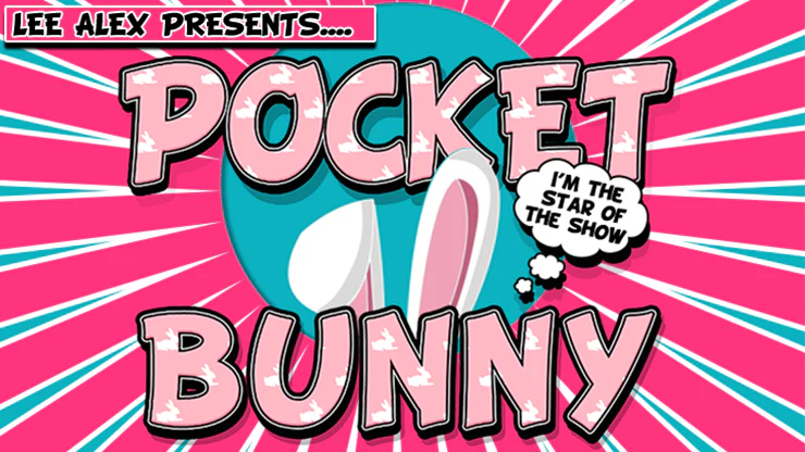 Pocket Bunny by Lee Alex - Image 7