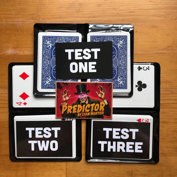 PREDICTOR by Liam Montier - Image 2