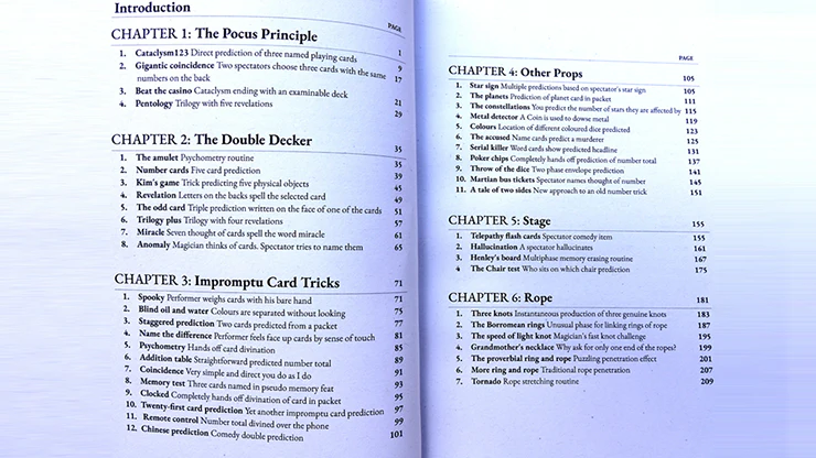 Prestidigitator by Brian Caswell - Image 3