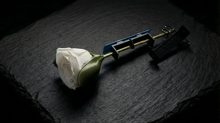 Project H: Rose Holder by J.S.M. Studio & Bacon Magic - Image 3
