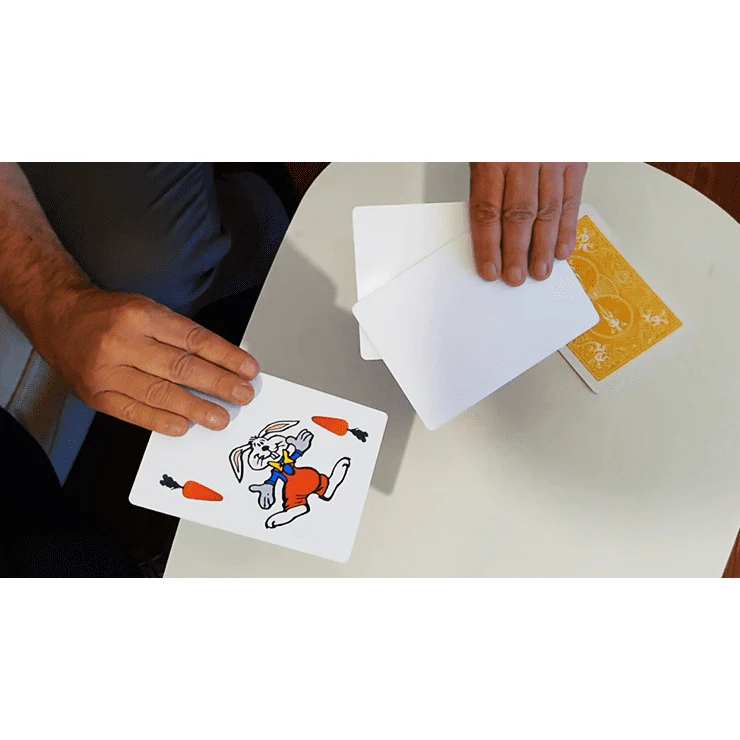 Rabbit On The Rainbow (Gimmicks and Online Instructions) by Juan Pablo Magic - Image 3