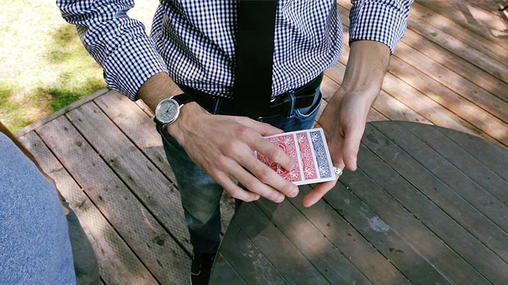 ReCard Monte by Steven Himmel video DOWNLOAD - Image 2
