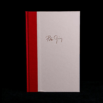 Resigned to Miracles by Peter Gröning and Hermetic Press - Book - Image 2