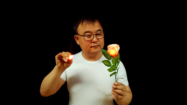Rose Light set RED by JL Magic - Trick - Image 2