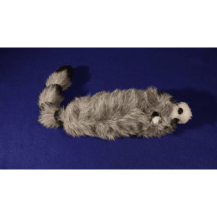 Roxie The Raccoon (Spring Animal) - Trick - Image 2