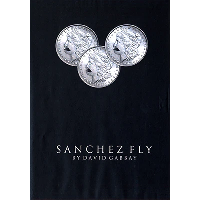 Sanchez Fly by David Gabbay - video - DOWNLOAD