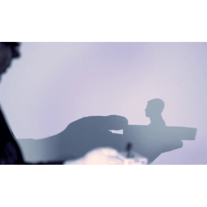 Shadow Art (Bat Man) by Mathieu Bich - Trick - Image 3