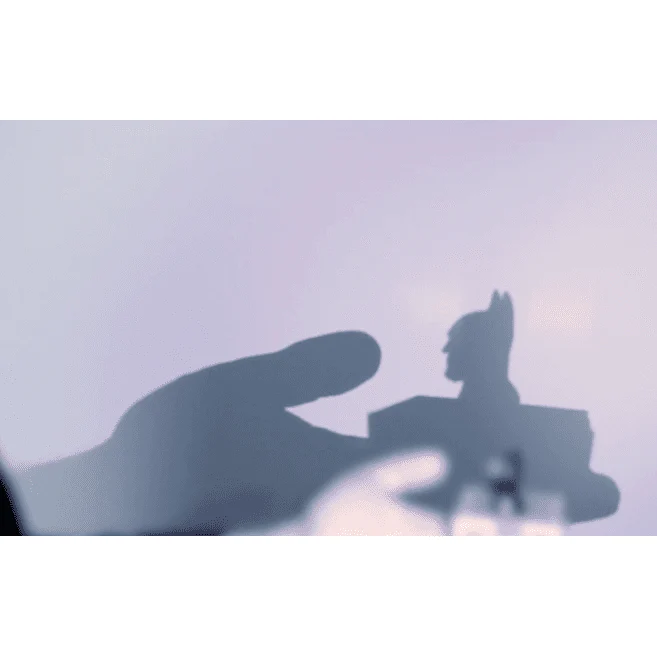 Shadow Art (Bat Man) by Mathieu Bich - Trick - Image 4