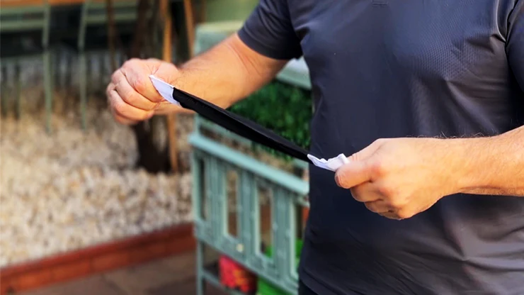 Silk Wand to Real Wand by Juan Pablo - Image 2