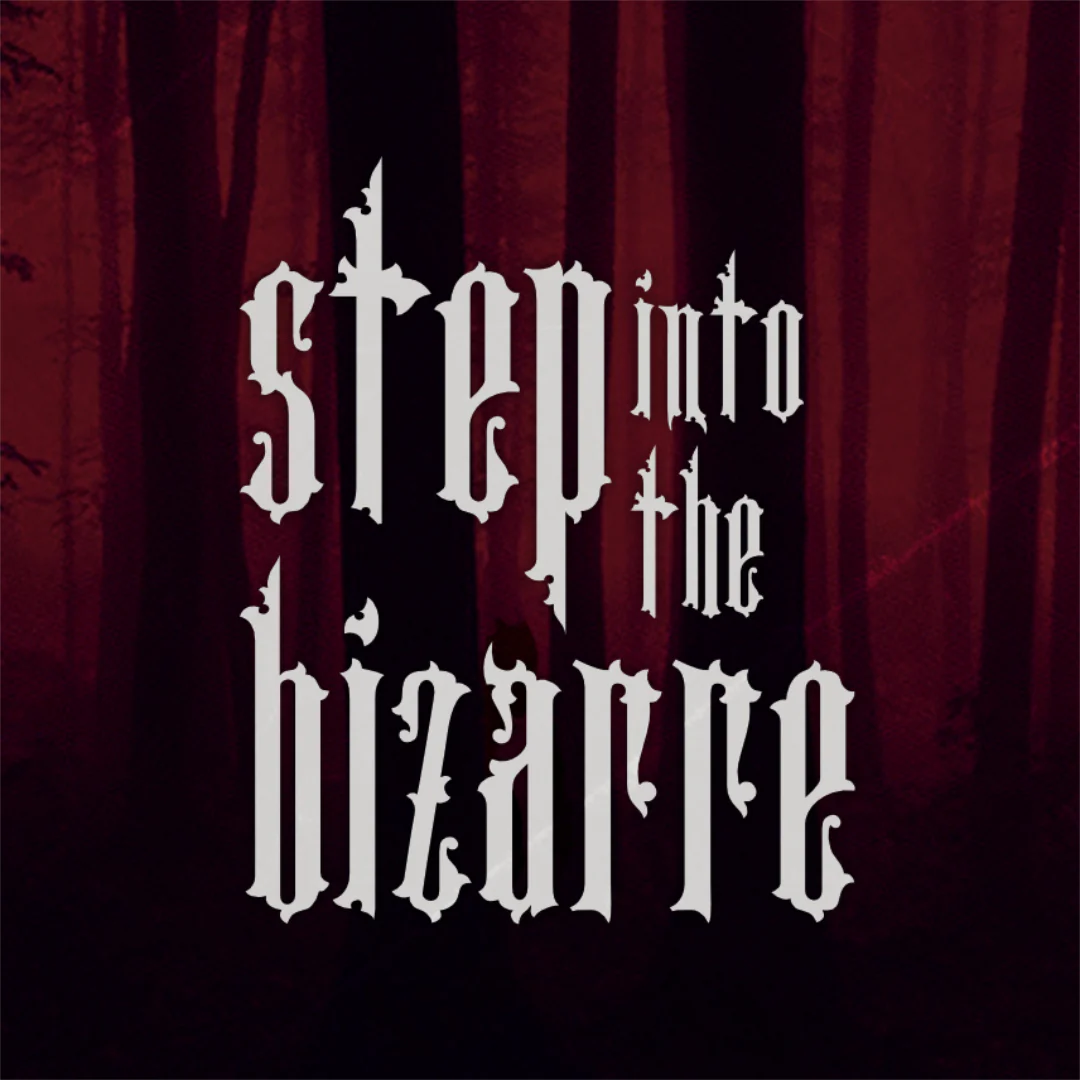 Step Into The Bizarre by Jamie Daws - Image 3