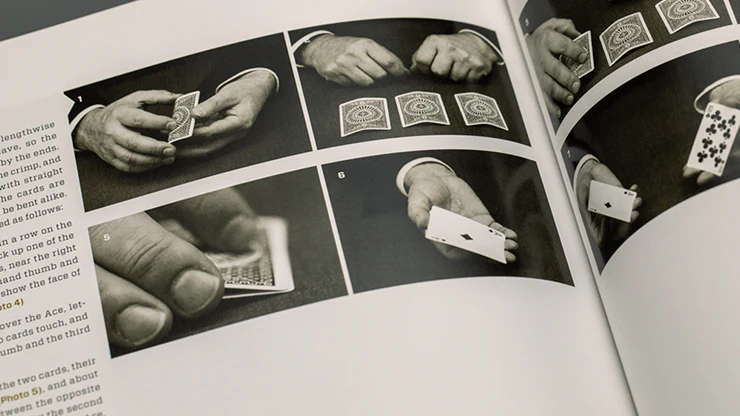 The Experts at the Card Table by David Ben and Magicana - Image 4