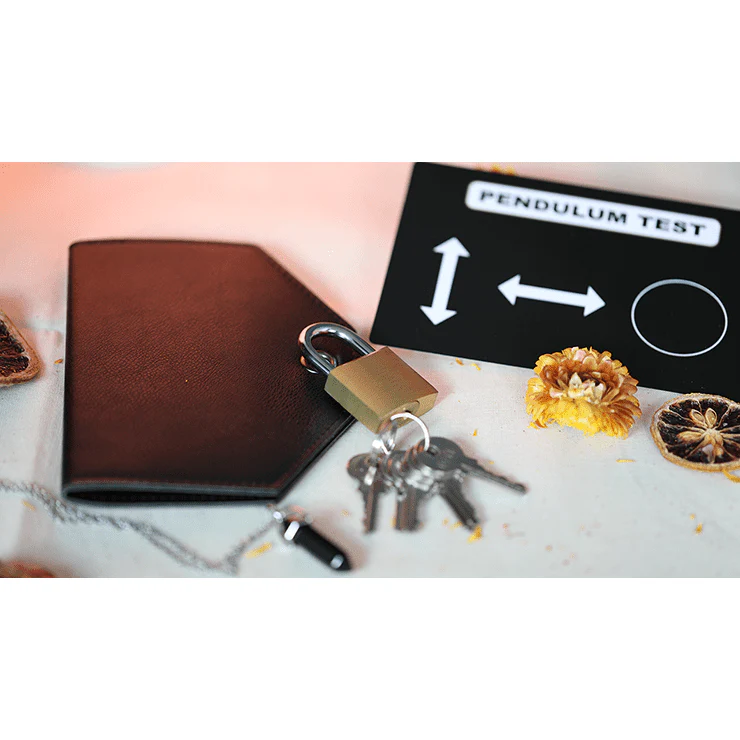 THE FOX 2.0 (Gimmicks and Online Instructions) by Luca Volpe and Alan Wong - Trick - Image 3