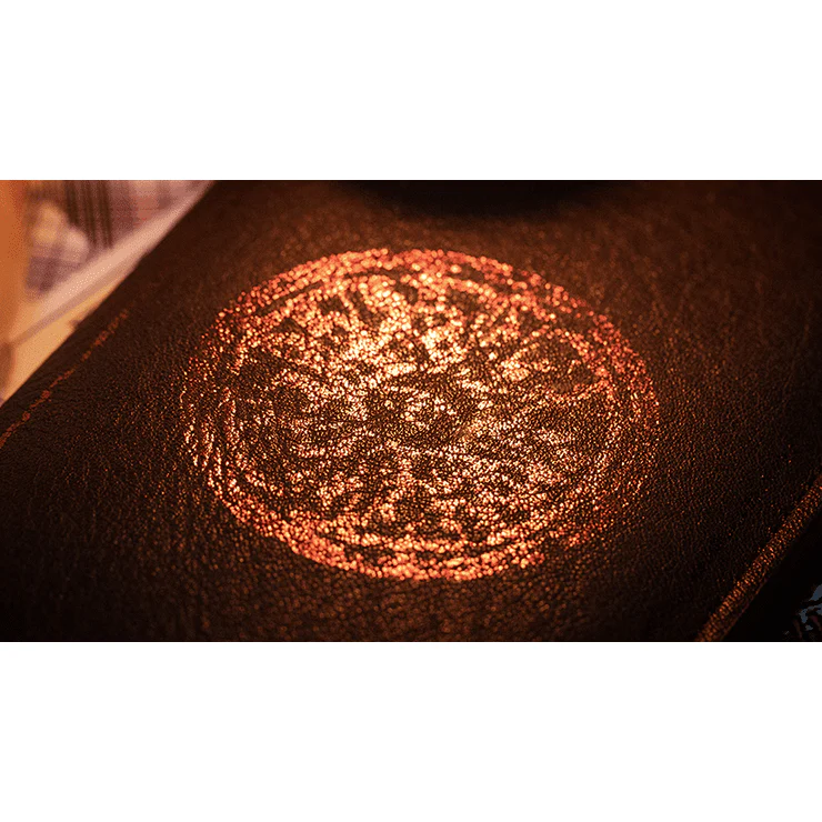 The Oracle System (Gimmicks and Online Instructions) by Ben Seidman - Trick - Image 4