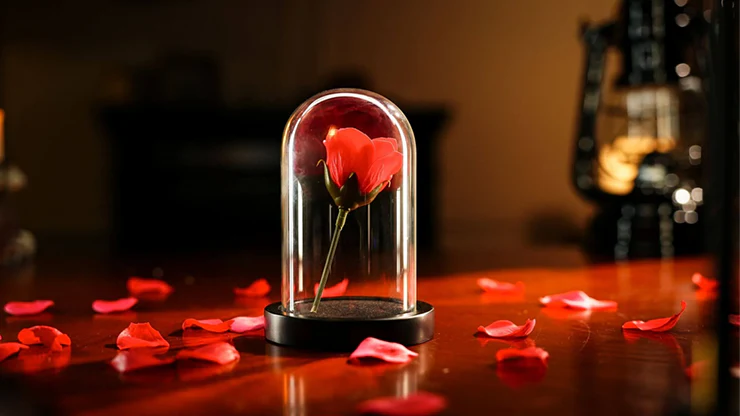 The Quantum Dome by Mai Bro & TCC Magic - Image 2