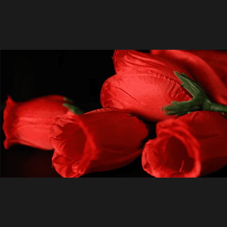 The Rose 2.0 (Red) by Bond Lee & Wenzi Magic - Trick - Image 2