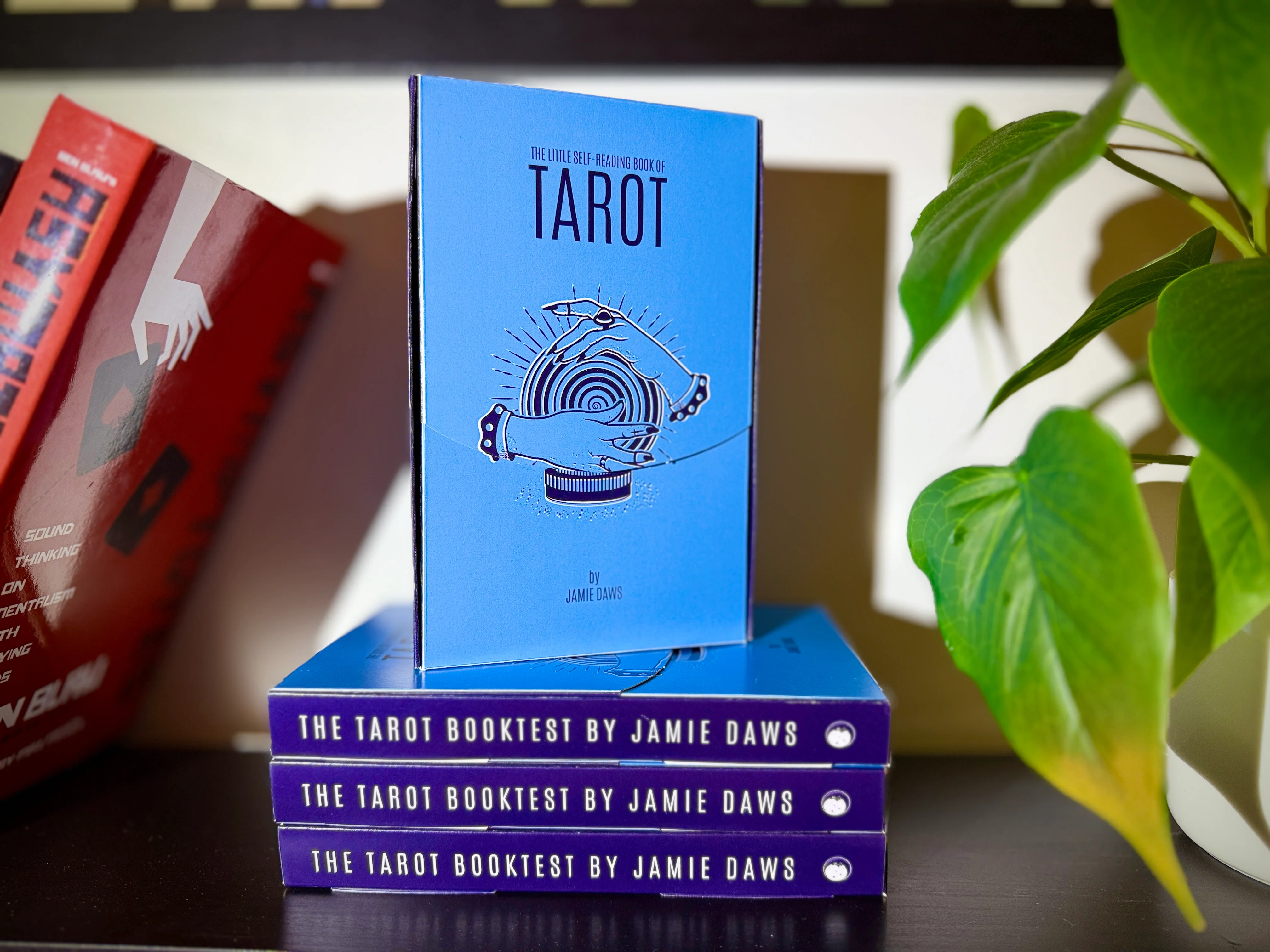 The Tarot Book Test by Jamie Daws - Image 2