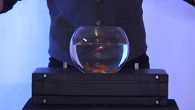 ULTIMATE BOWLING BALL FROM BRIEFCASE by Richard Griffin - Trick - Image 2