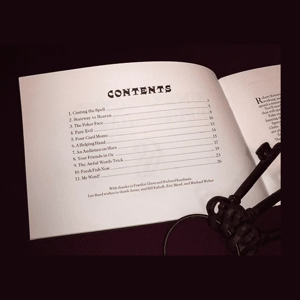 Unexpected Impuzzibilities by Jim Steinmeyer - Book - Image 2